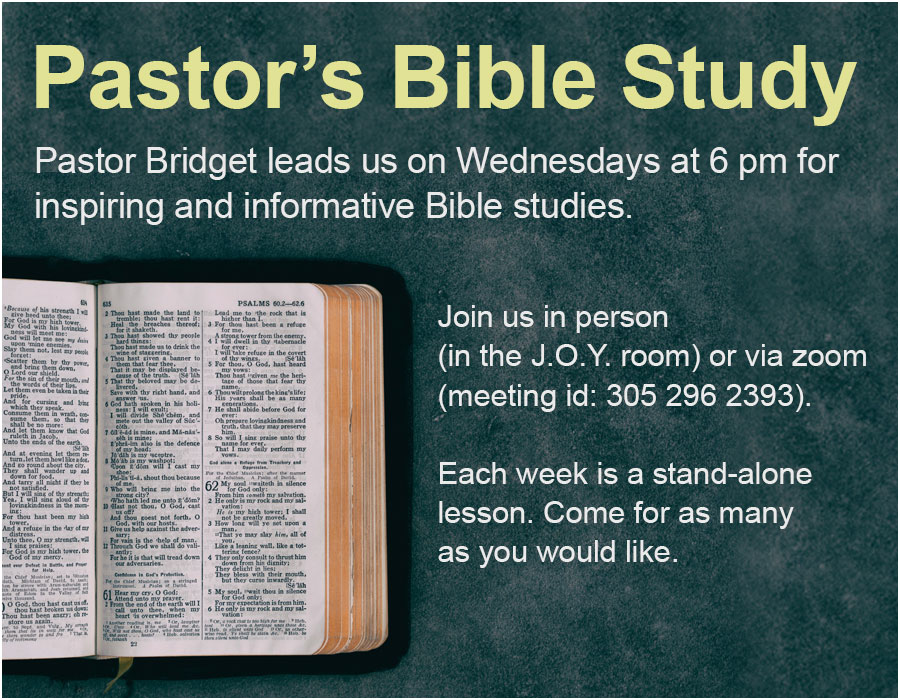 Pastor's Bible Studies